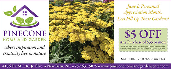 Pinecone Home and Garden
