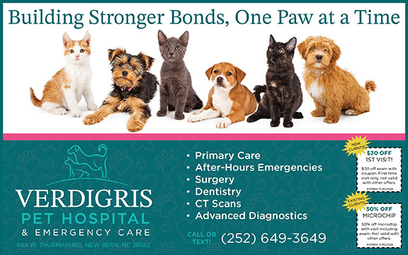 Verdigris Pet Hospital