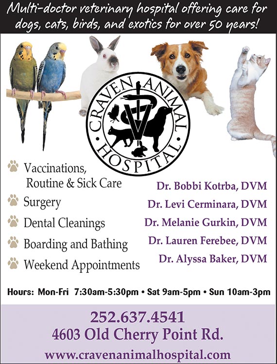 Craven Animal Hospital